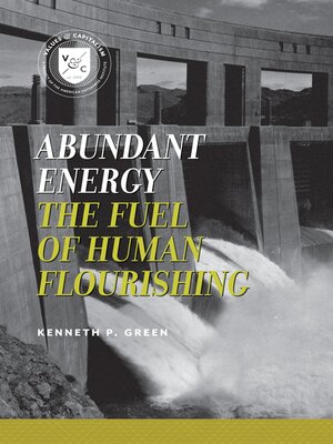 cover image of Abundant Energy